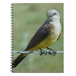 B32 Western Kingbird Notitieboek