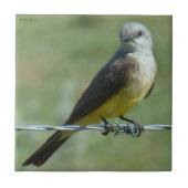 B32 Western Kingbird Tegeltje (Voorkant)