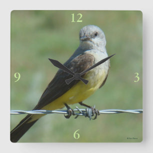 B32 Western Kingbird Vierkante Klok