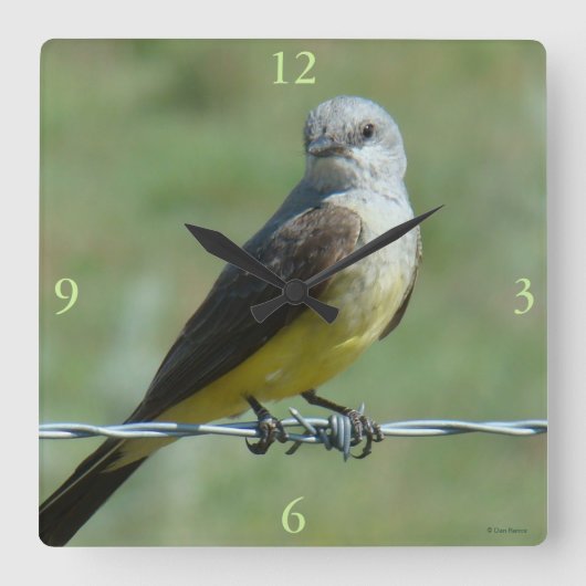 B32 Western Kingbird Vierkante Klok (Voorkant)