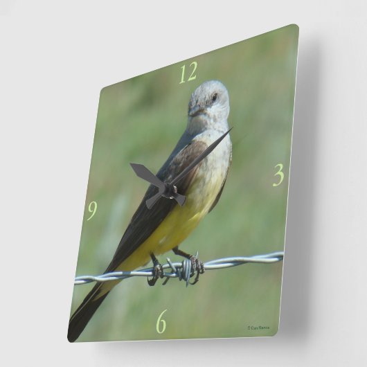 B32 Western Kingbird Vierkante Klok (Hoek)