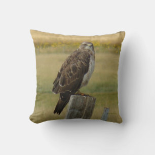 B33 Swainson's Buizerd Kussen