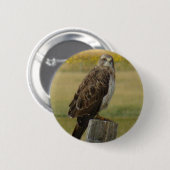 B33 Swainsons Buizerd Ronde Button 5,7 Cm (Voorkant /achterkant)