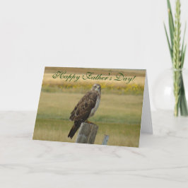 B33 Swainson's Havik Kaart