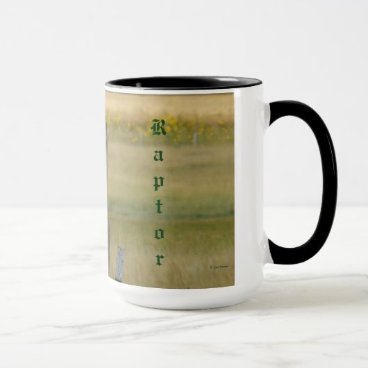 B33 Swainson's Hawk Mok (Rechts)