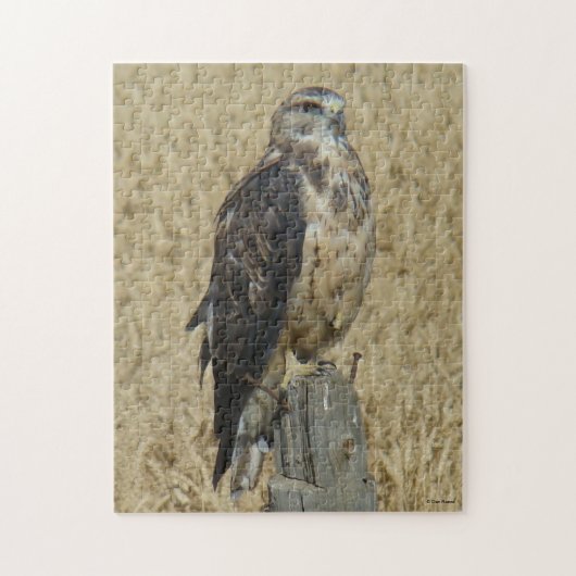 B35 IJzerbruine Havik in Tarweveld Legpuzzel (Verticaal)