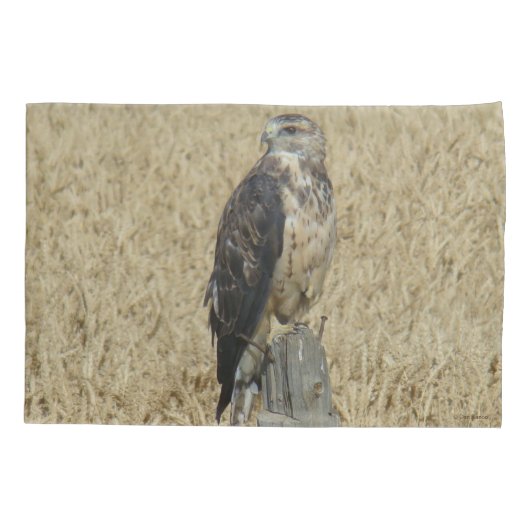 B36 Ferruginous Hawk in Wheat Field Kussensloop (Achterkant)
