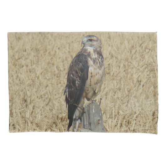 B36 Ferruginous Hawk in Wheat Field Kussensloop (Voorkant)
