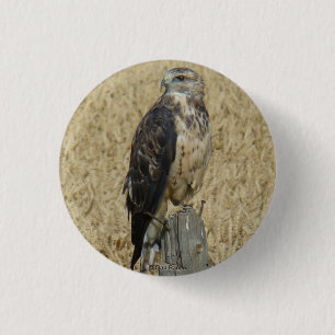 B36 Ferruginous Hawk in Wheat Field Ronde Button 3,2 Cm
