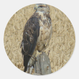 B36 Ferruginous Hawk in Wheat Field Ronde Sticker
