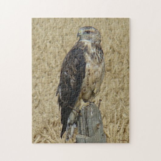 B36 IJzerbruine Havik in Tarweveld Legpuzzel (Verticaal)