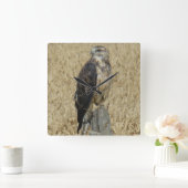 B36 IJzerbuizerd in Tarweveld Vierkante Klok (Huis)
