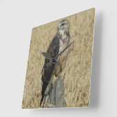 B36 IJzerbuizerd in Tarweveld Vierkante Klok (Hoek)