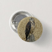B36 Roestbuizerd in Tarweveld Ronde Button 3,2 Cm (Voorkant /achterkant)