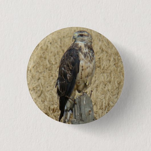 B36 Roestbuizerd in Tarweveld Ronde Button 3,2 Cm (Voorkant)