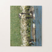 B37 Canadese Ganzen Puzzel (Verticaal)