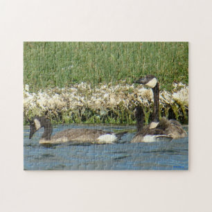 B37 Canadese Ganzenpuzzle Legpuzzel