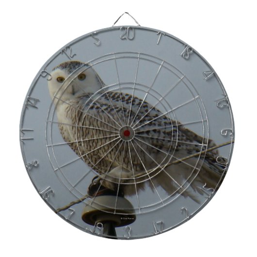 B38 Sneeuwuil Dartbord (Voorkant)