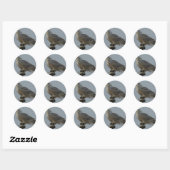 B38 Sneeuwuil Ronde Sticker (Vel)