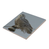 B38 Sneeuwuil Tegeltje (Zijkant)