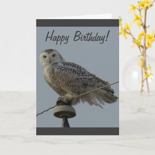 B38 Snowy Owl Kaart (Gele Bloem)