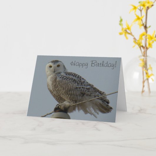 B38 Snowy Owl Kaart (Gele Bloem)