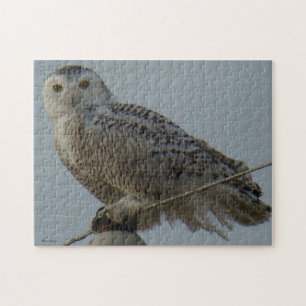 B38 Snowy Owl Legpuzzel