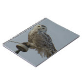 B38 Snowy Owl Notitieboek (Linkerzijde)