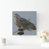 B38 Snowy Owl Vierkante Klok (Huis)