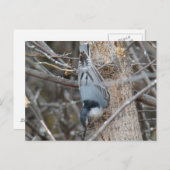 B39 Roodborstvoeding Briefkaart (Voorkant / Achterkant)