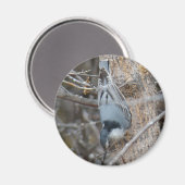 B39 Roodborstvoeding Magneet (Voorkant / Achterkant)