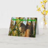 B3 Marsh Wren in Cattails Kaart (Gele Bloem)