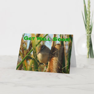 B3 Marsh Wren in Cattails Kaart