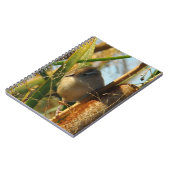B3 Marsh Wren in Lisdodde Notitieboek (Linkerzijde)