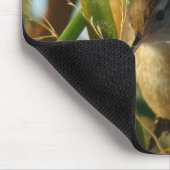 B3 Marsh Wren Muismat (Hoek)