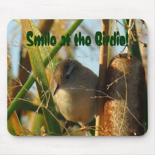 B3 Marsh Wren Muismat (Voorkant)