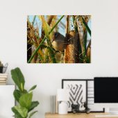 B3 Marsh Wren Poster (Thuiskantoor)