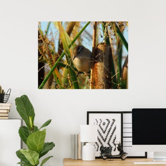 B3 Marsh Wren Poster (Thuiskantoor)