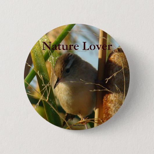 B3 Marsh Wren Ronde Button 5,7 Cm (Voorkant)
