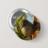 B3 Marsh Wren Ronde Button 5,7 Cm (Voorkant /achterkant)