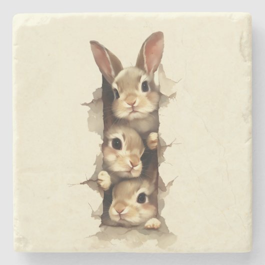 B3 Three Bunnies 3D Illusion Stenen Onderzetter (Voorkant)