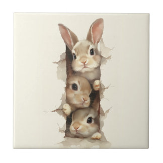 B3 Three Bunnies 3D Illusion Tegeltje