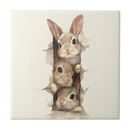 B3 Three Bunnies 3D Illusion Tegeltje (Voorkant)