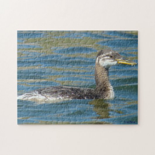 B40 Jongle, met rode hals gekookte Grebe Legpuzzel (Horizontaal)