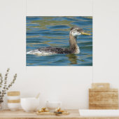B40 Jongle, met rode hals gekookte Grebe Poster (Keuken)