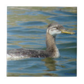 B40 Jongle, met rode hals gekookte Grebe Tegeltje (Voorkant)