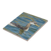 B40 Jongle, met rode hals gekookte Grebe Tegeltje (Zijkant)