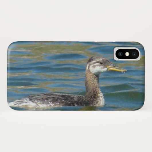 B40 Juveniele Roodkeelduiker Case-Mate iPhone Case (Achterkant (horizontaal))