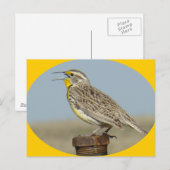 B42 Westelijke Weideleeuwerik Briefkaart (Voorkant / Achterkant)