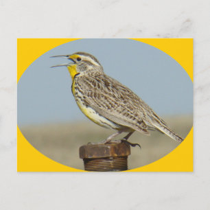 B42 Westelijke Weideleeuwerik Briefkaart